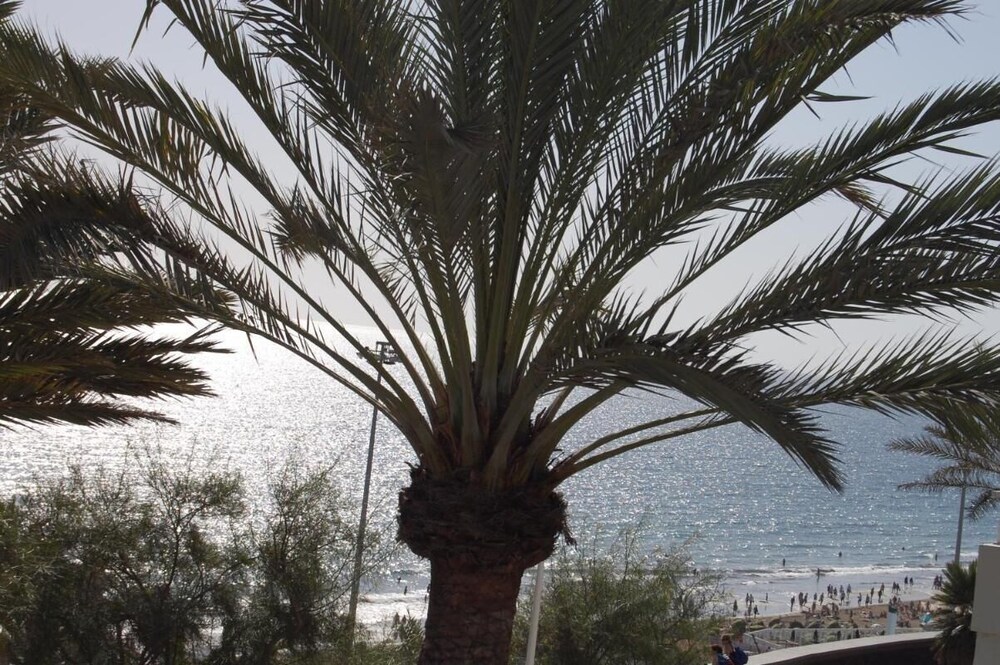 Private Apartment in Aida Complex With the Best Views