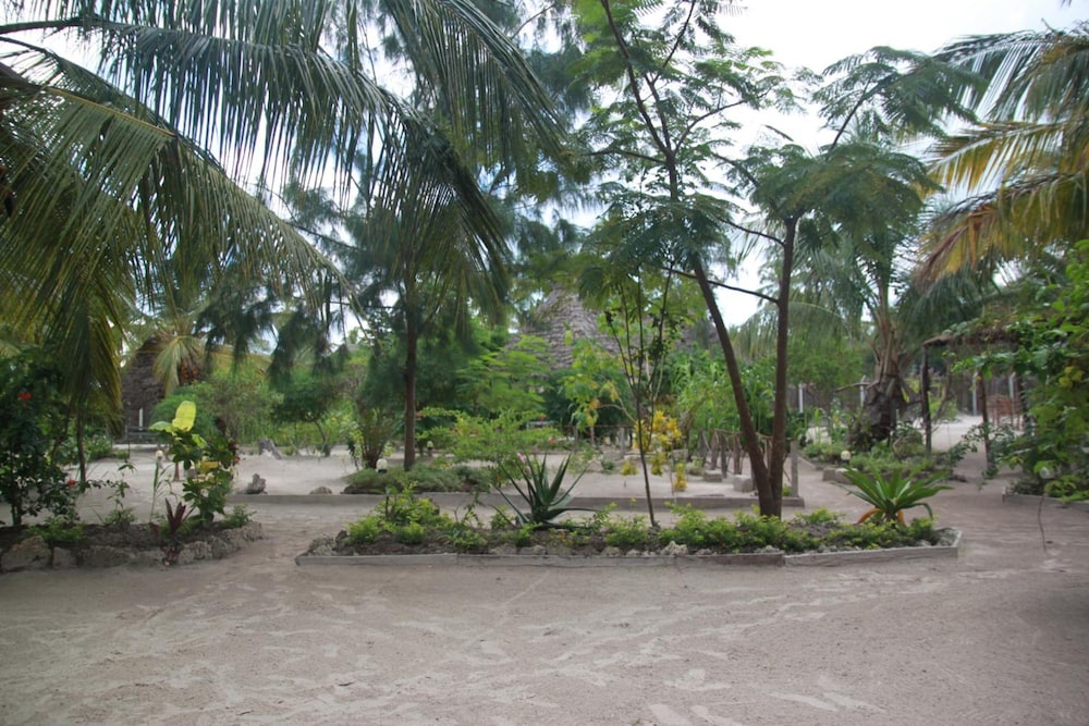 Photo 43