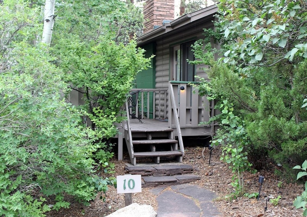 Sunnyside Knoll: 10 1 Bedroom Studio - Property Image 1
