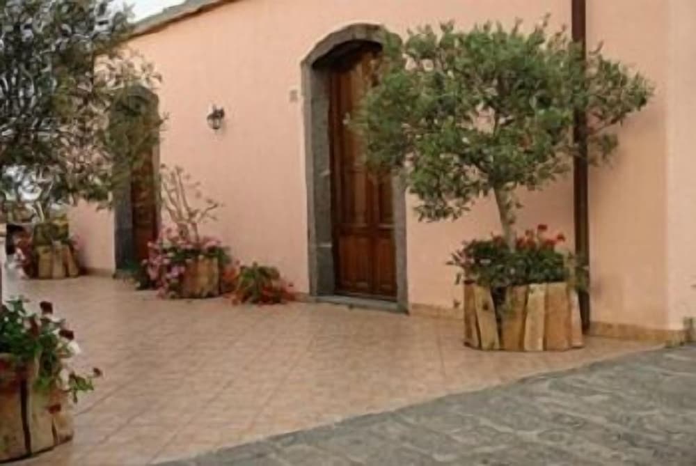 La Grevillea