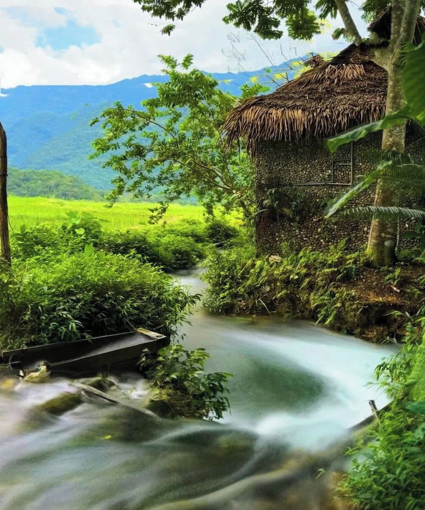 Thai House Pu Luong