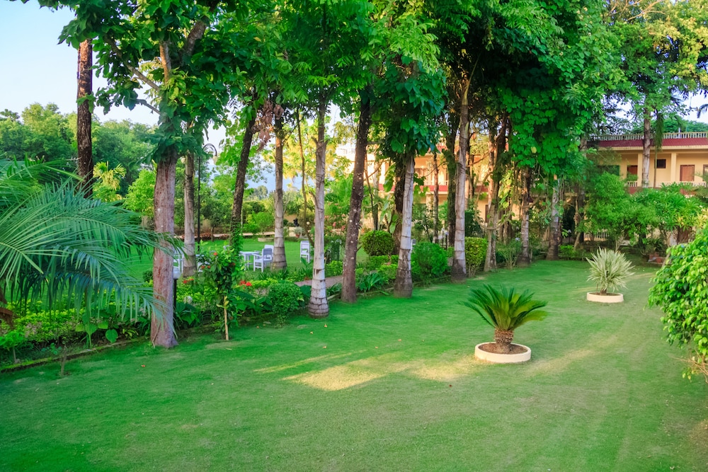 Hotel Rainforest