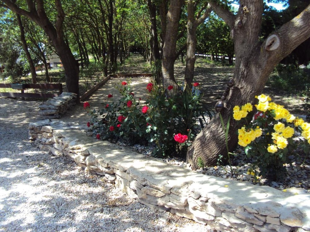 Photo 35