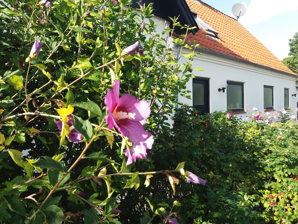 B & B Hygge