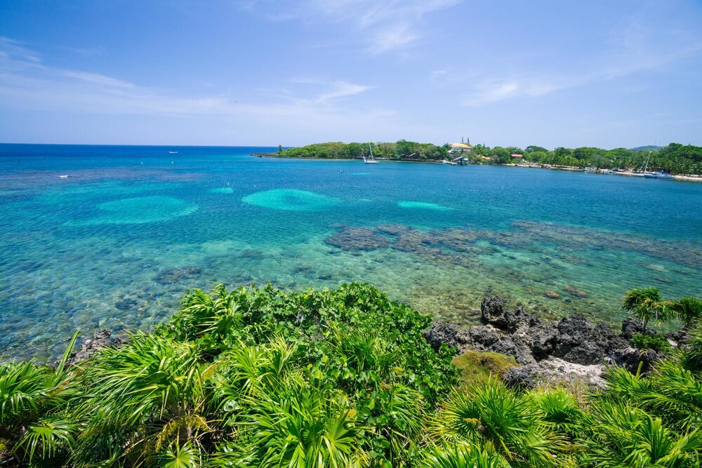 Coral Vista 3