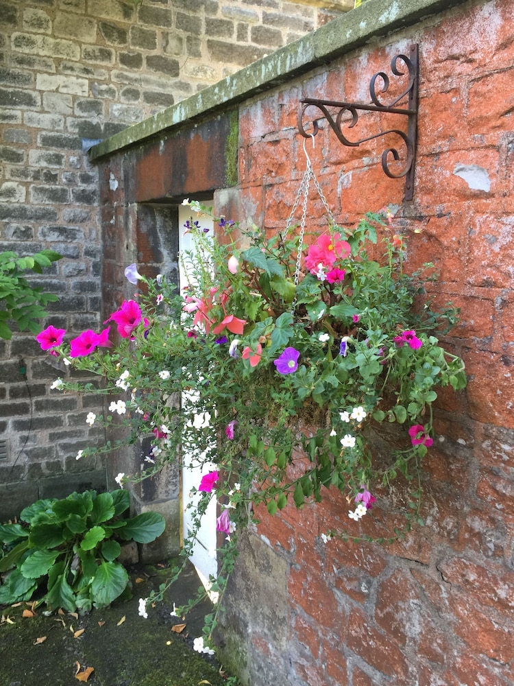 The Old Vicarage B&B