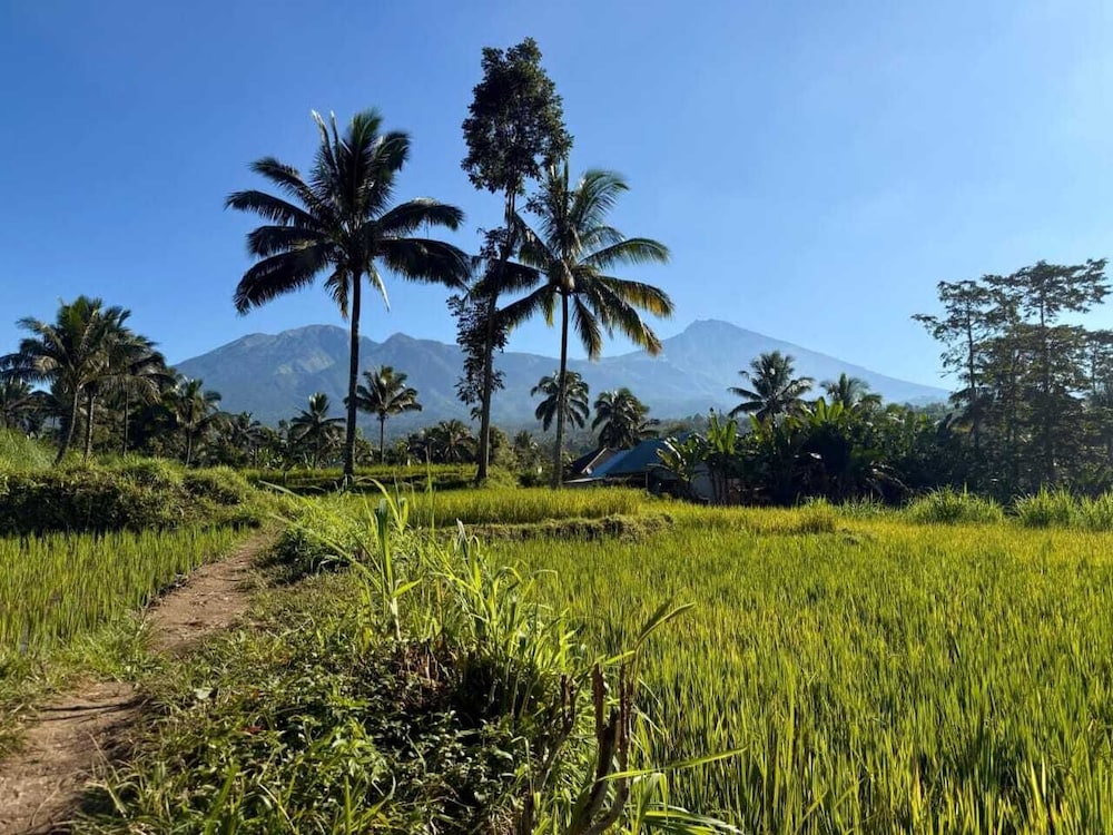 Tetebatu Valley Bungalows