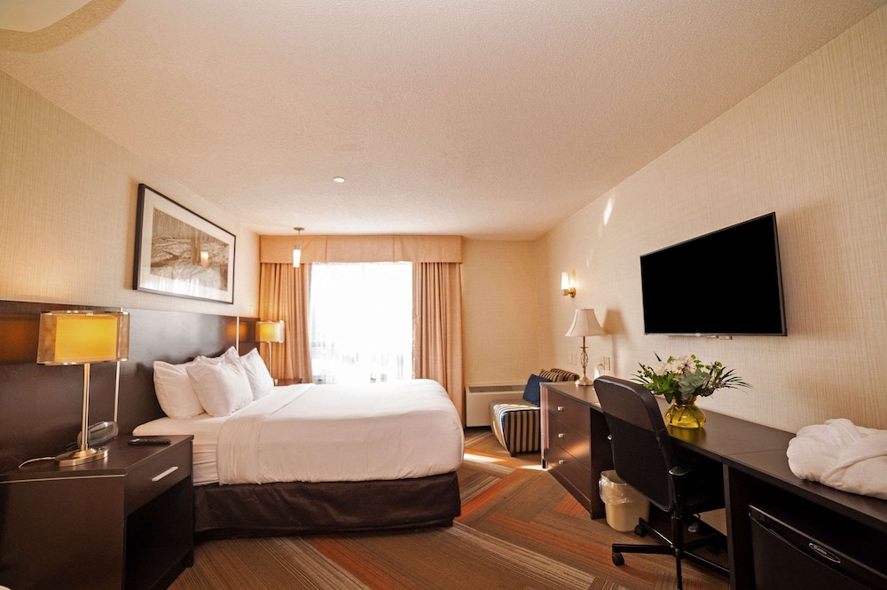 Quality Hotel - Property Image 39