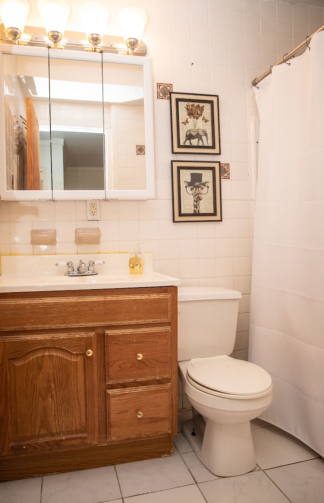 Sunny Fully Furnished Studio in Chelsea