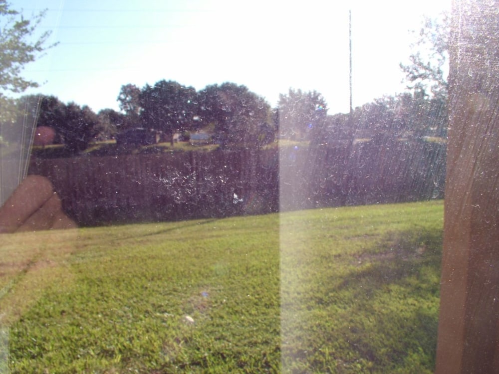 Regal Palms Resort & Spa 2234 - Image 2