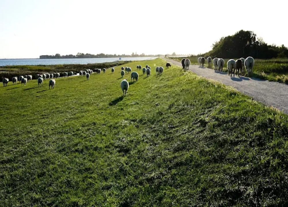 Ferienwohnung auf Fehmarn for 2 Personen