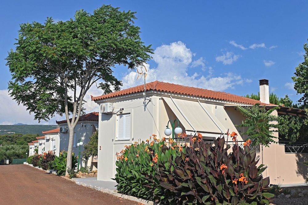Photo 20