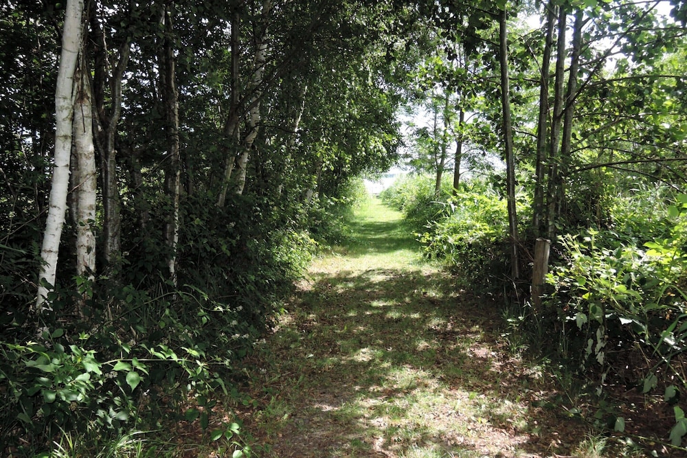 Relaxing Nature Stay by Wolin's Shores