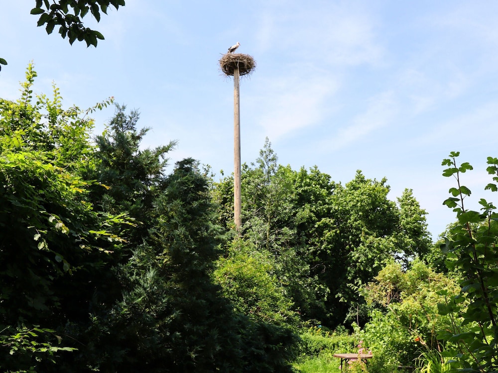 Ferienwohnung Im Heumond in Buschhagen