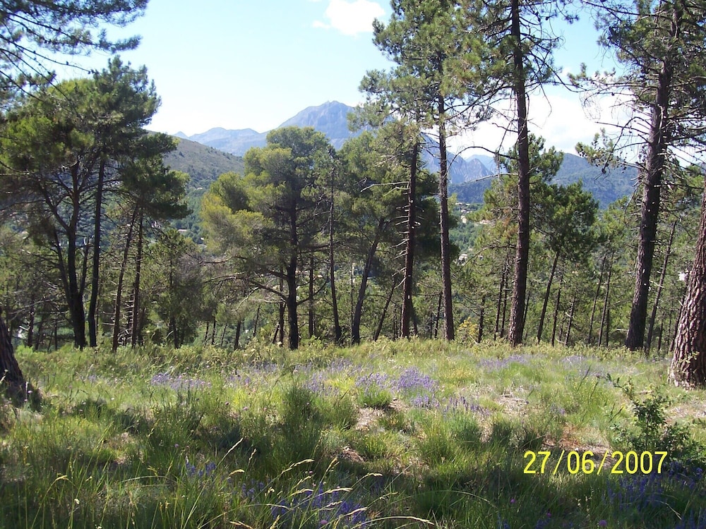 Photo 34