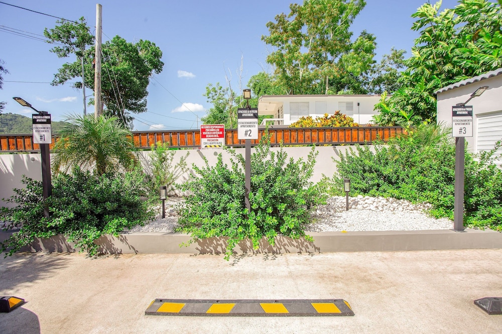 Photo 45