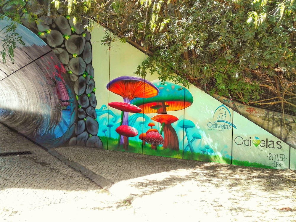 Photo 13