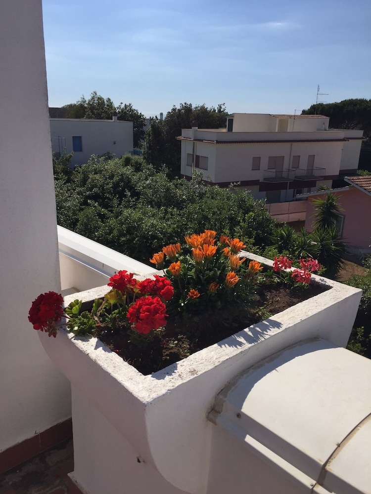 Lavinio Terrace