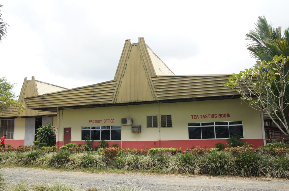 Sabah Tea Resort