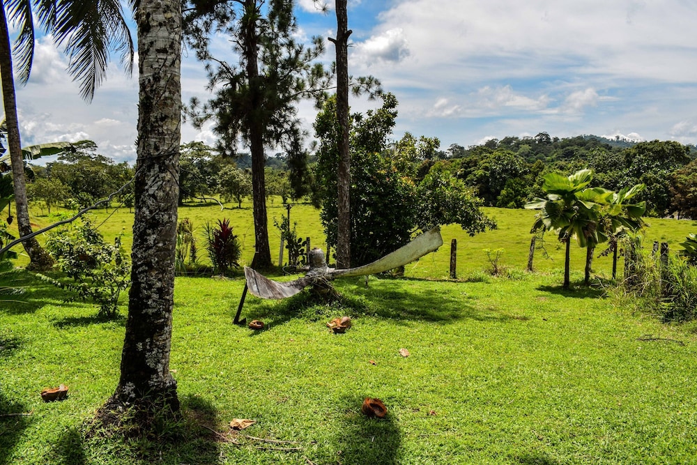 Tapir Lodge