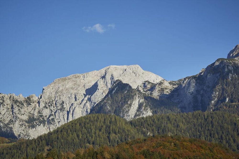 Holiday Apartment in Bavaria