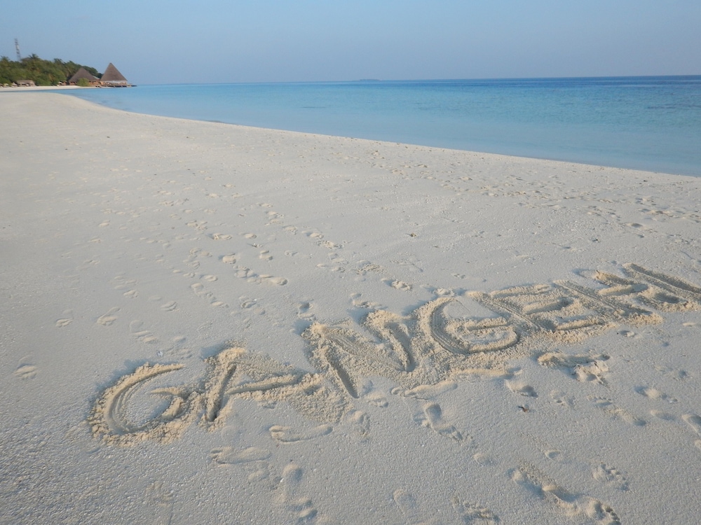 Gangehi Island Resort