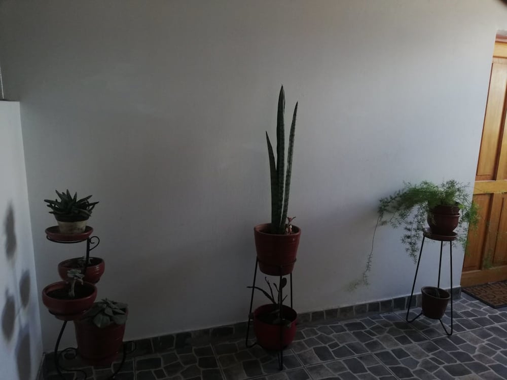 Bravo´s House