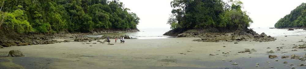 Photo 29