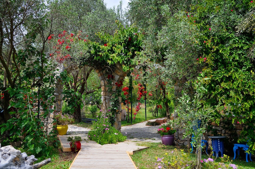 Olive Farm Of Datca