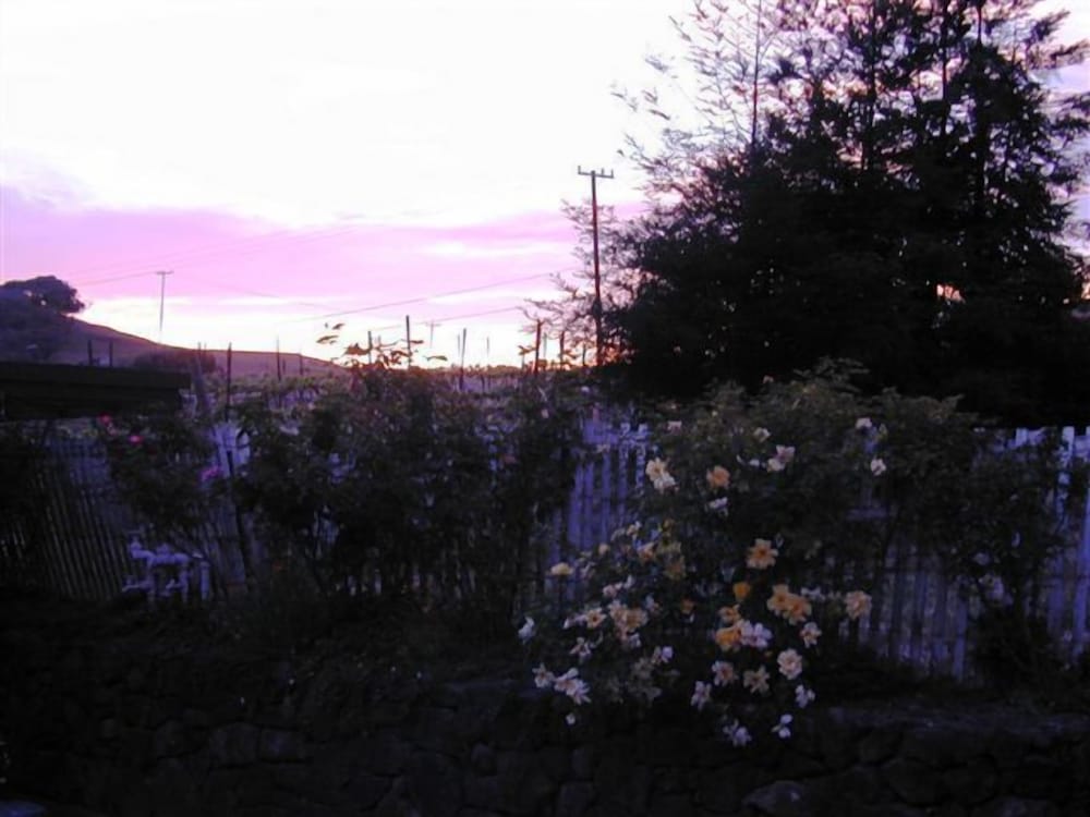 Point Reyes Vineyard Inn