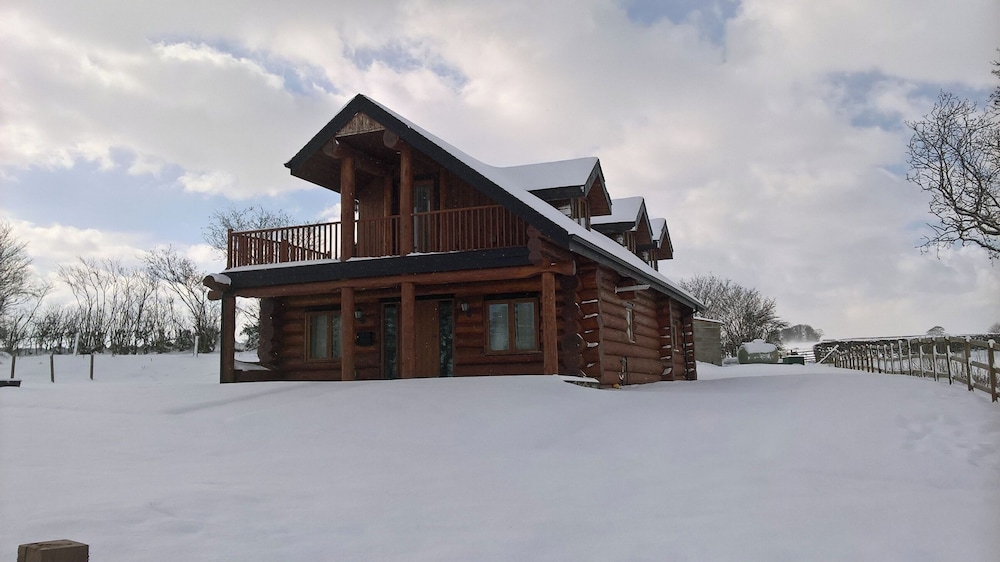 Traditional Scandinavian/north American Log Home