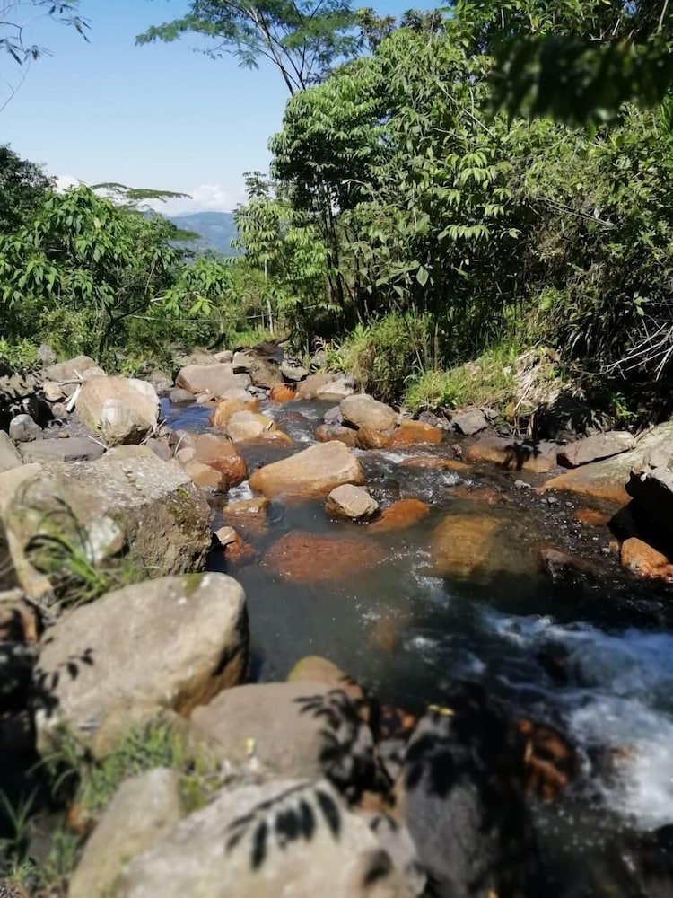 Finca Ecolodges El Ocelote view 5