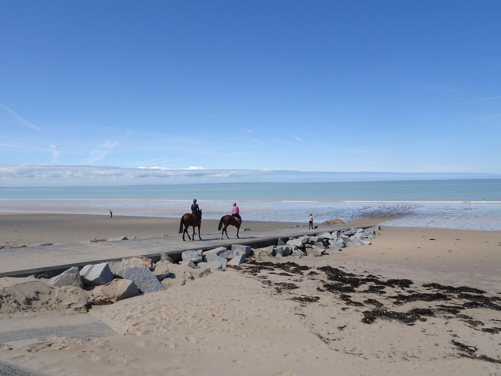 Charming Holiday Home in a Quiet Location, Near the Coast, 2 Bicycles view 5
