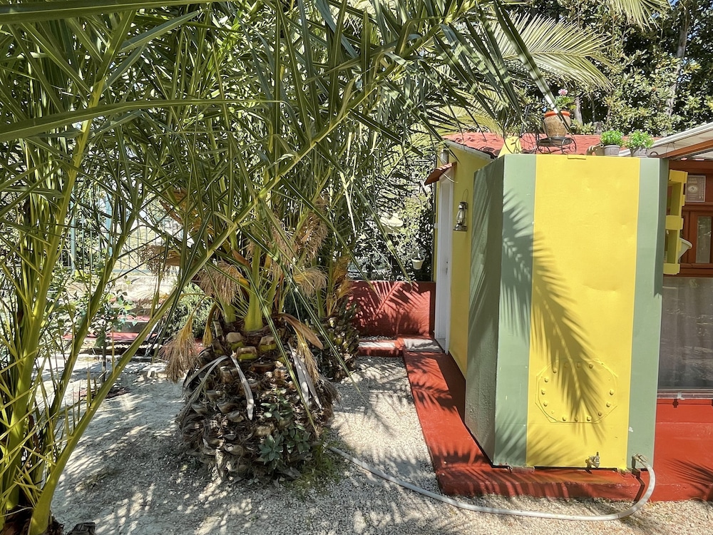 Oasis in Split Near the Center view 3