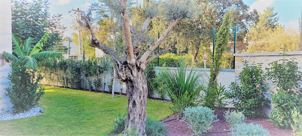 Photo 6