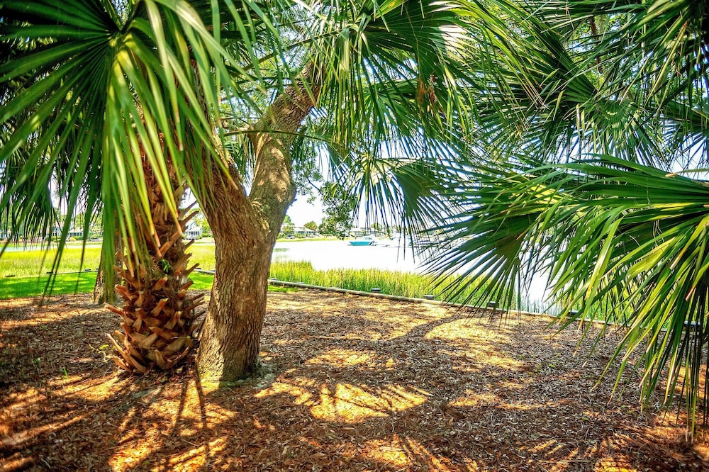 6 Willet Road at The Sea Pines Resort