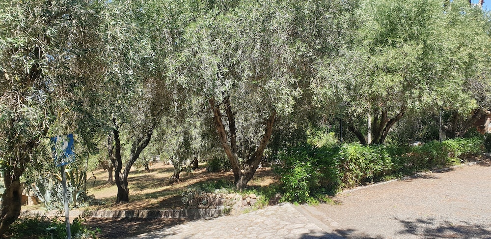 Tuscan Villa, Private Pool and Tennis Court Garden,wi-fi, Ac, Pet Friendly view 2