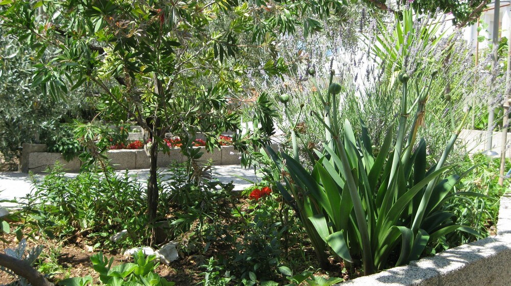 Ljuba - Nice Garden - A4 view 3