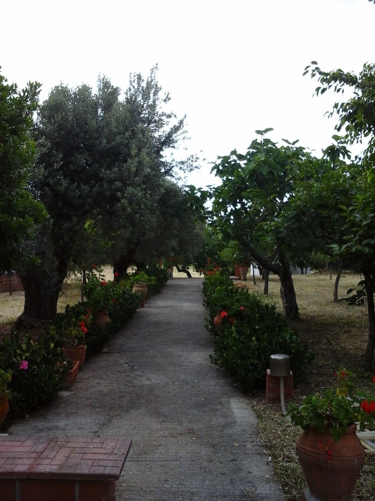 Photo 17