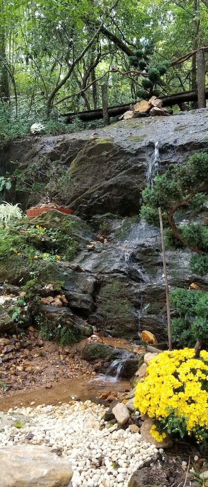 Bear Creek Lodge and Cabins in Helen Ga - Pet Friendly, River on Property, Walking Distance to downtown Helen
