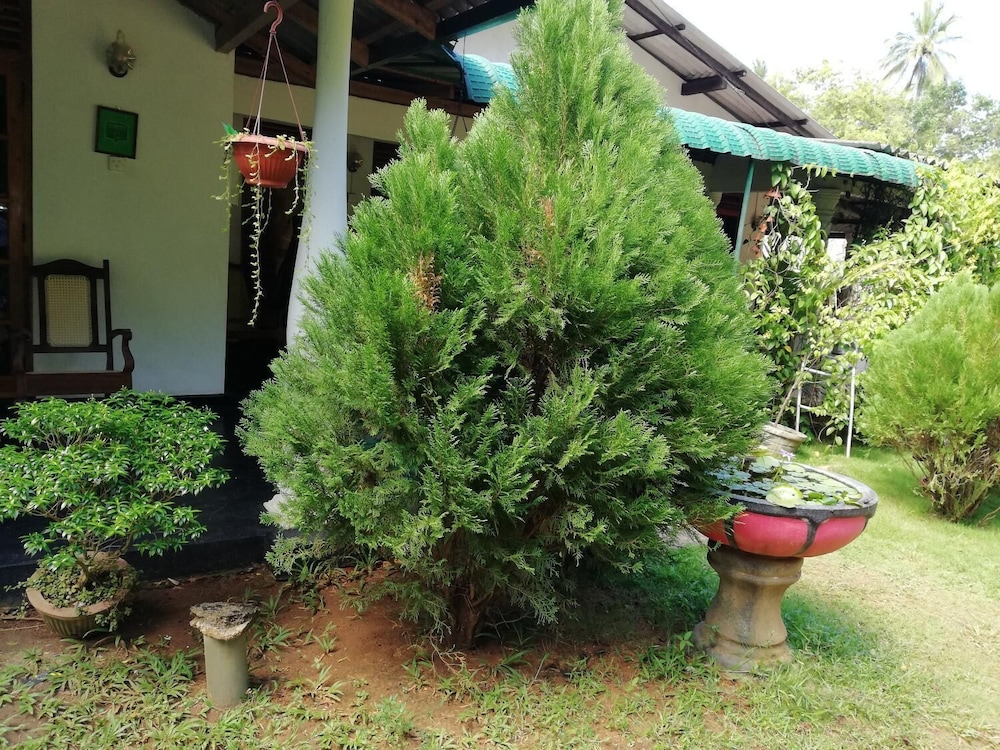 Lal HomeStay