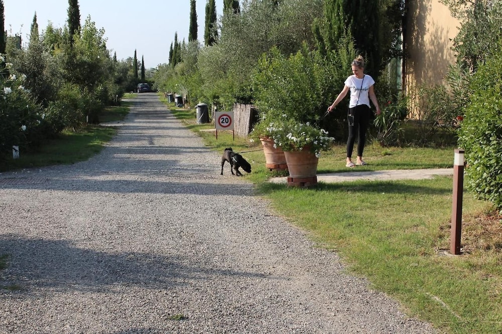 Photo 42