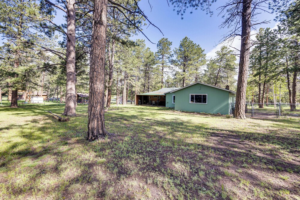 1 Mi to Town: Woodland Park Home w/ Yard!
