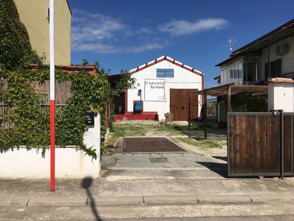 Photo 11
