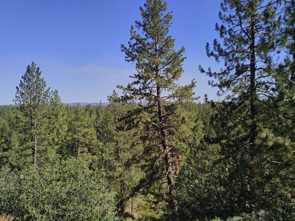 7th Mtn 823f 3 Bedroom Condo