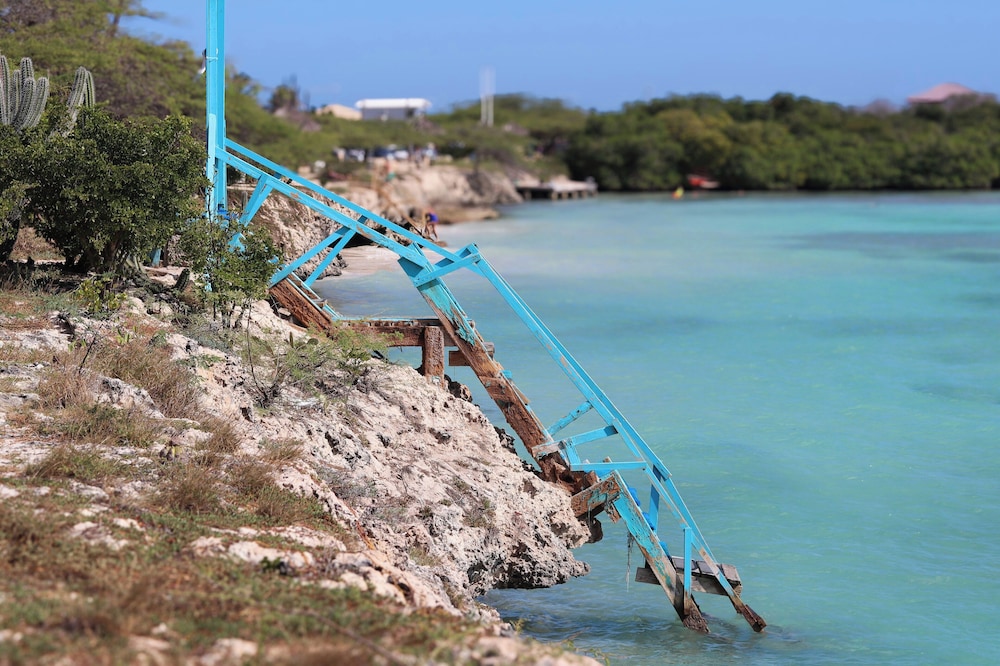 1 Minute Walk to Beach Aruba Mangel Halto