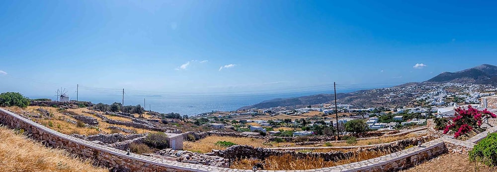Spacious 2 Bedroom House with Fantastic Yard view 4