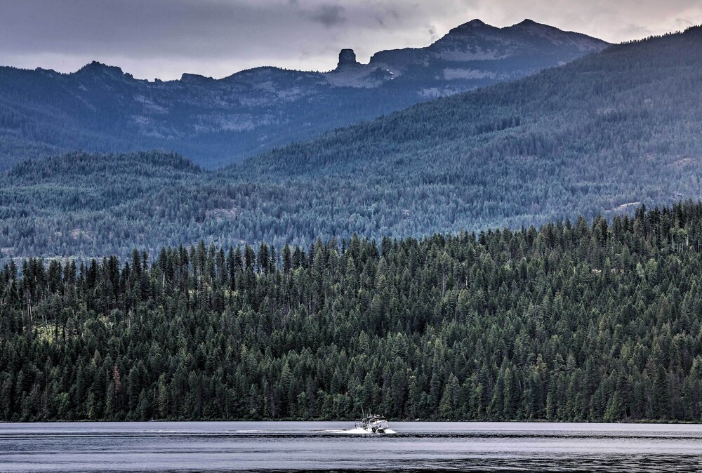 Spacious Cabin By Priest Lake & Elkins Resort view 5