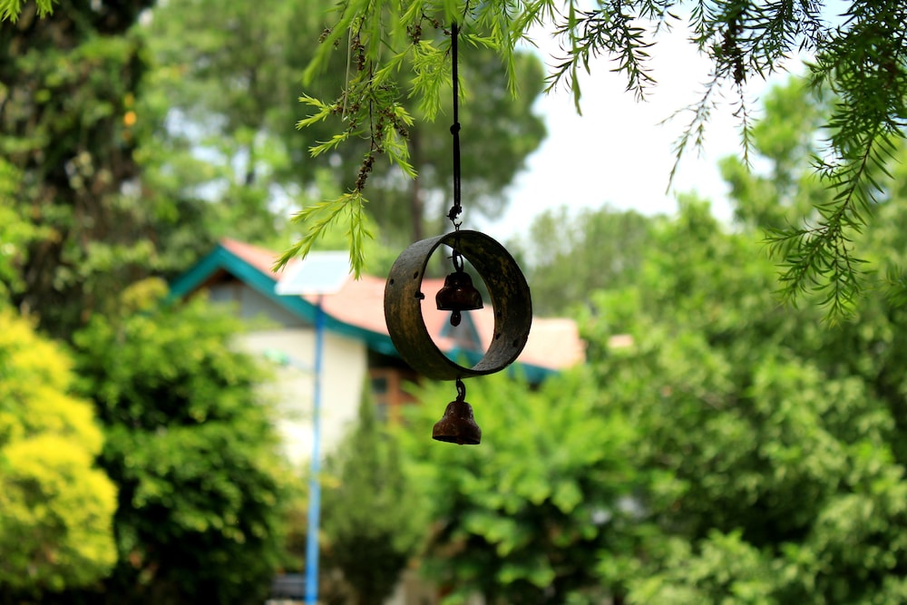 Alcor Spa Resort Kasauli
