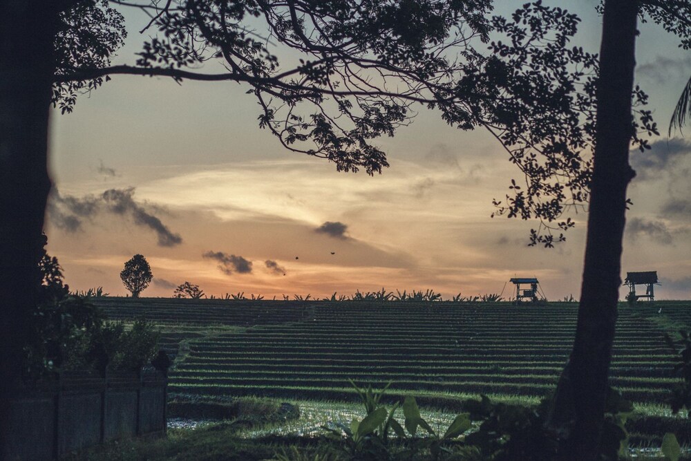 RedDoor Bali